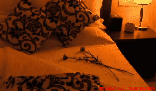 糖酒會(huì),春季糖酒會(huì),成都糖酒會(huì),第114屆糖酒會(huì),全國(guó)糖酒會(huì),春糖,2026春季糖酒會(huì),2026成都糖酒會(huì),2026年春糖,成都春季糖酒會(huì),春季成都糖酒會(huì),春季全國(guó)糖酒會(huì),成都春糖