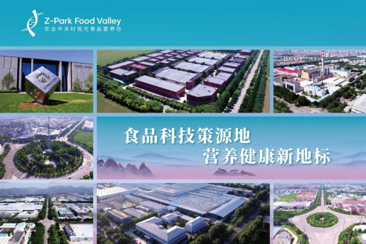 糖酒會,秋季糖酒會,南京糖酒會,第113屆糖酒會,全國糖酒會,秋糖,2025秋季糖酒會,2025南京糖酒會,2025年秋糖,南京秋季糖酒會,秋季南京糖酒會,秋季全國糖酒會,南京秋糖